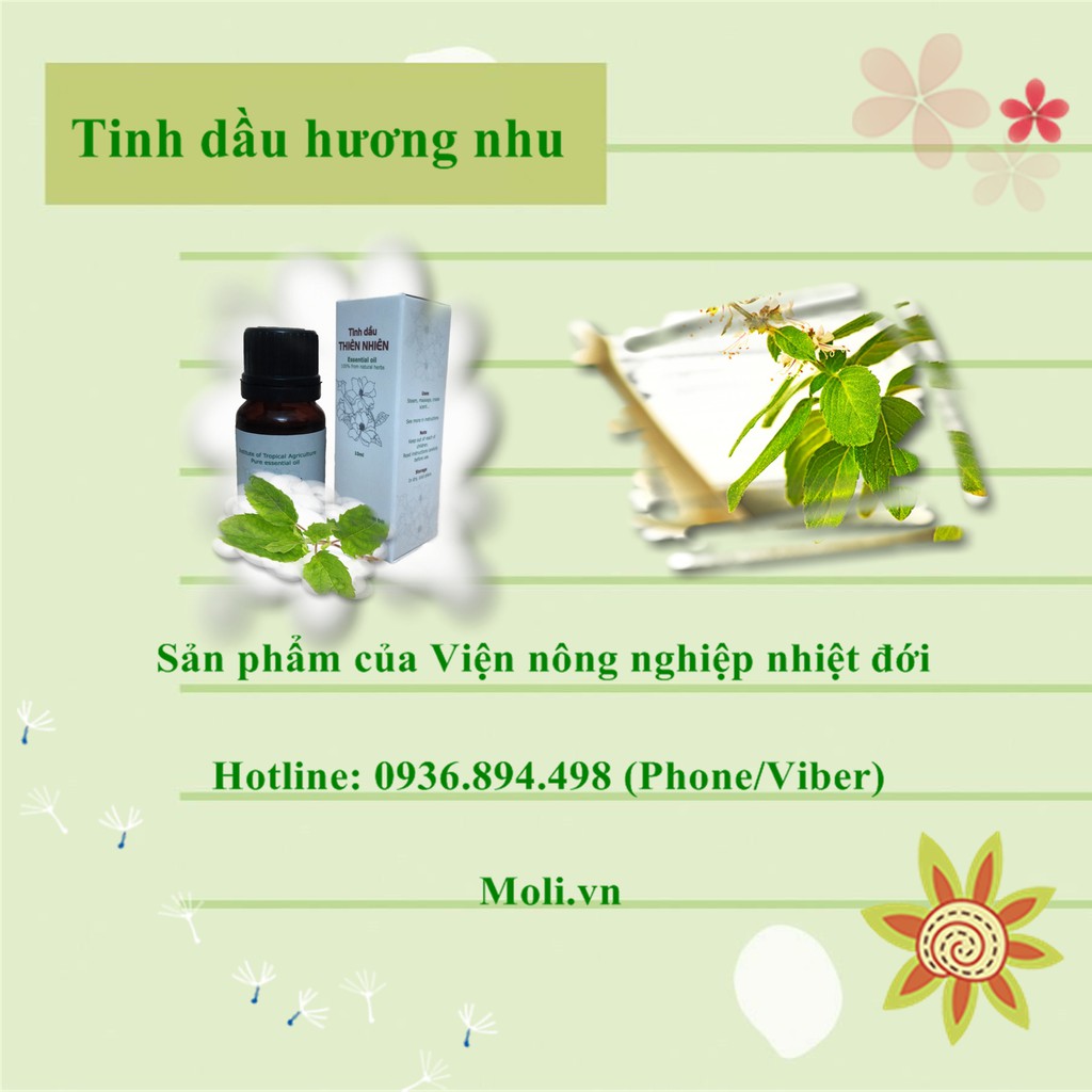 Tinh dầu hương nhu 10ml (Viện nông nghiệp nhiệt đới IAT)