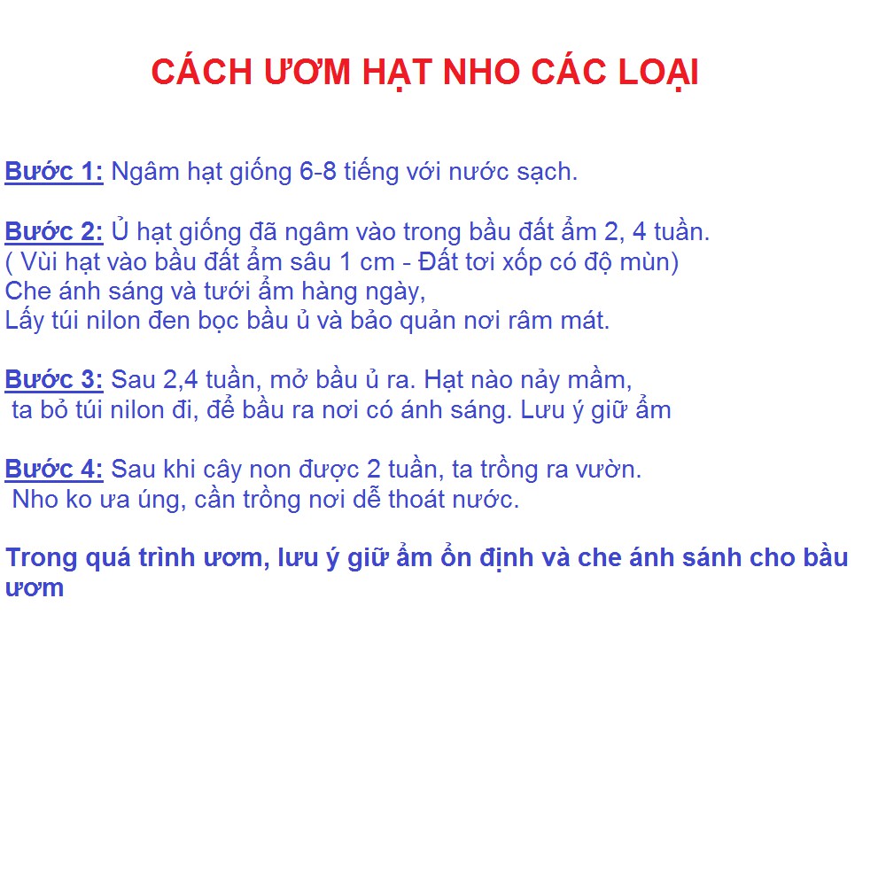 Hạt giống nho lùn gói 10 hạt xuất xứ Mỹ