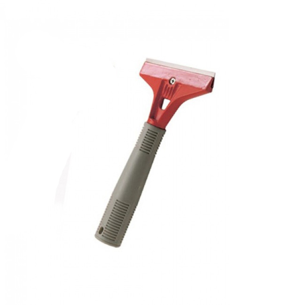 Cây sủi cạo sàn