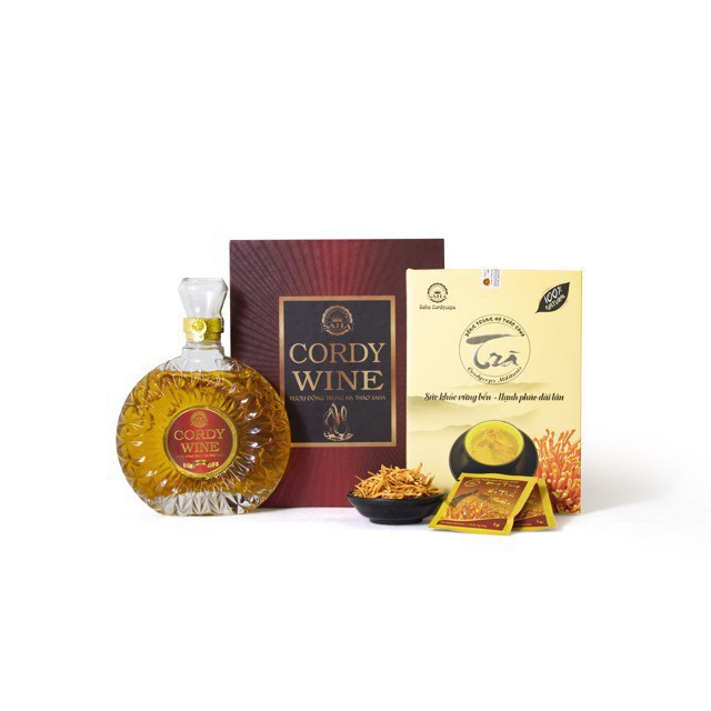 Đông Trùng Hạ Thảo SaHa Hộp 9 gói, 1g/gói | BigBuy360 - bigbuy360.vn