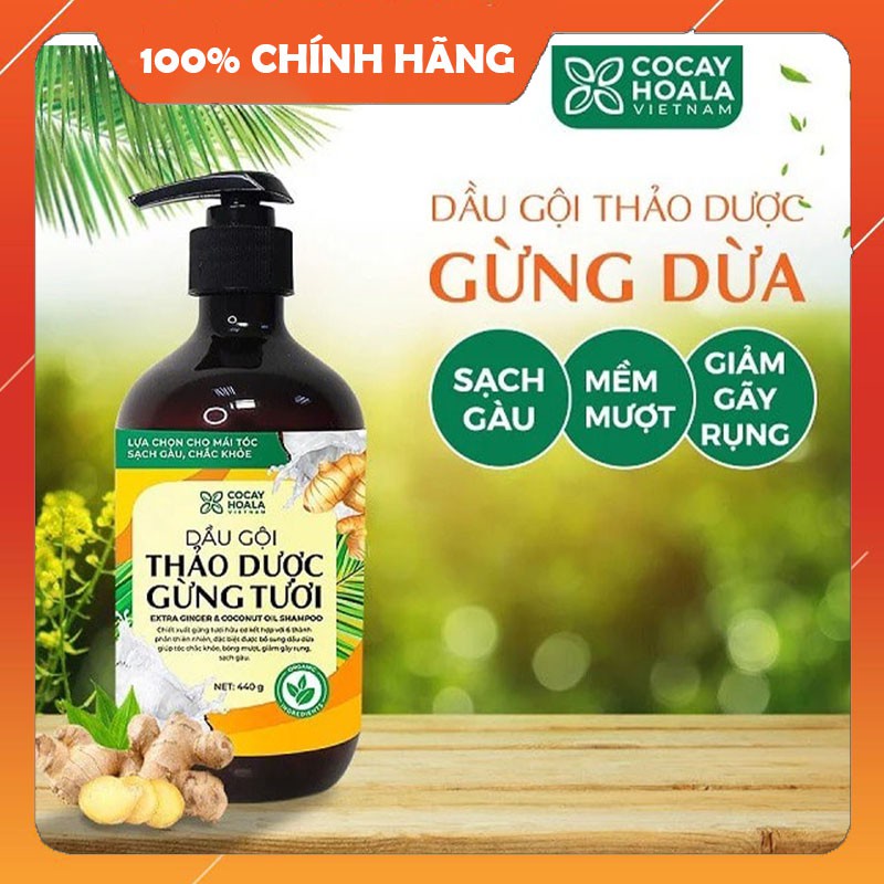 Dầu gội hữu cơ gừng dừa Cocayhoala thảo dược cao cấp cỏ cây hoa lá đánh bay gàu giảm ngứa dung tích 440g/chai