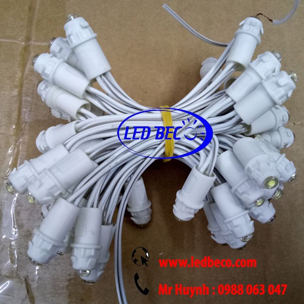 LED ĐÚC F5 ĐẾ 8 NC