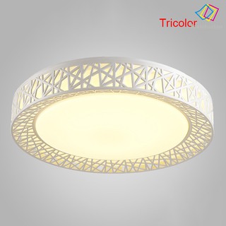 Đèn trần kiểu tổ chim phong cách độc đáo