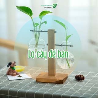 Lọ thủy tinh trồng cây thủy canh kèm đế gỗ trang trí ( không bao gồm cây)