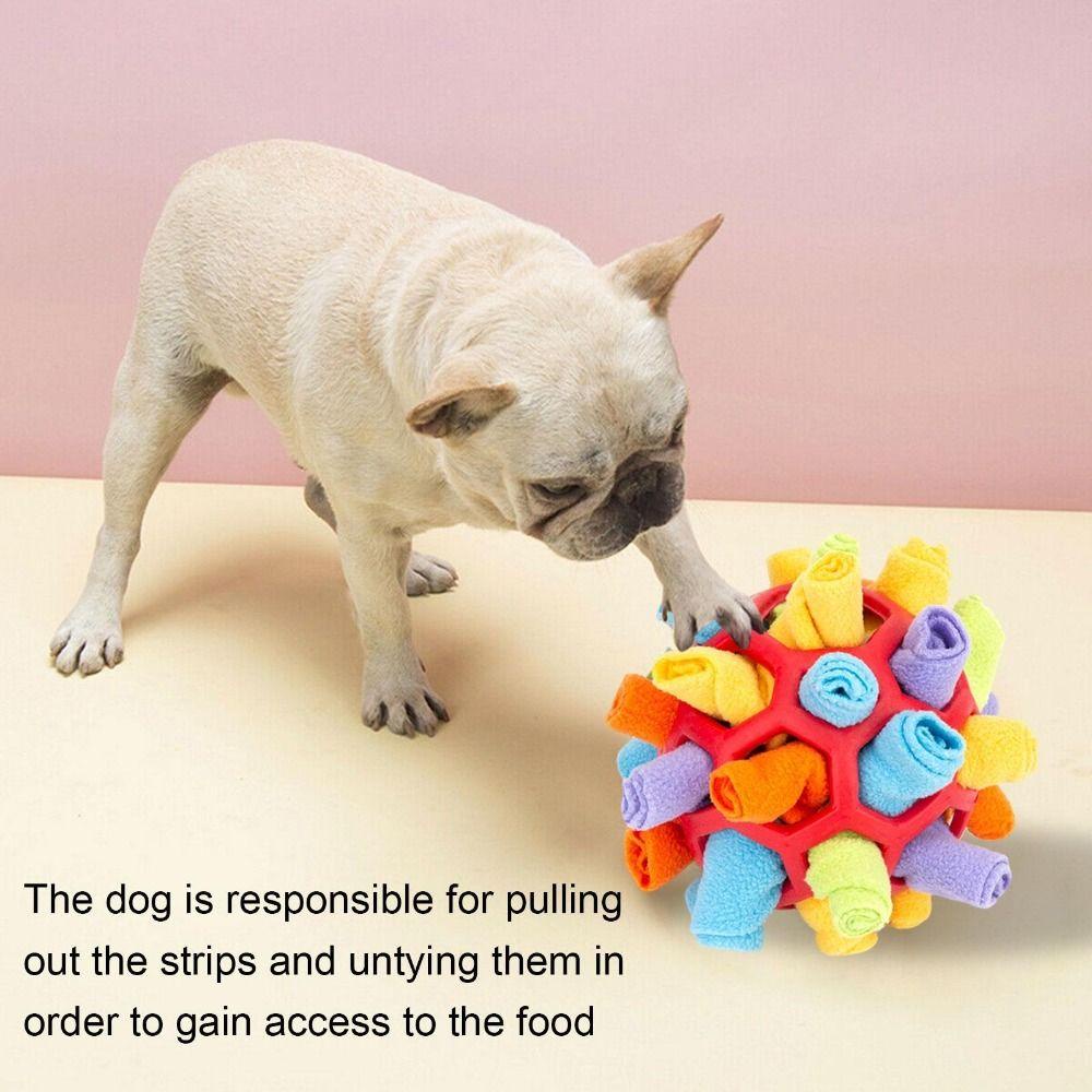 Bóng Cao Su Huấn Luyện Kỹ Năng Sáng Tạo Cho Chó AUGUSTINA