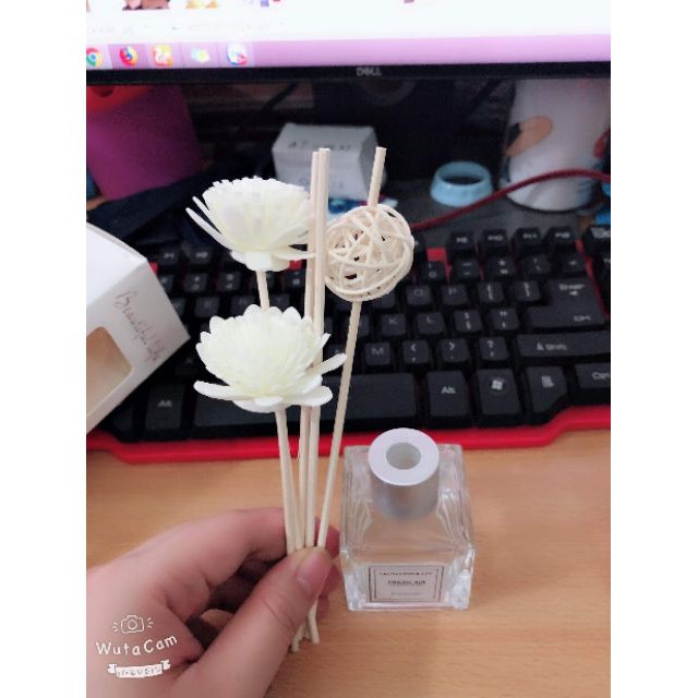 Lọ tinh dầu khô khuếch tán mùi hương