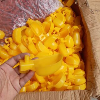 Cốc uống cho chim cút , chim cảnh