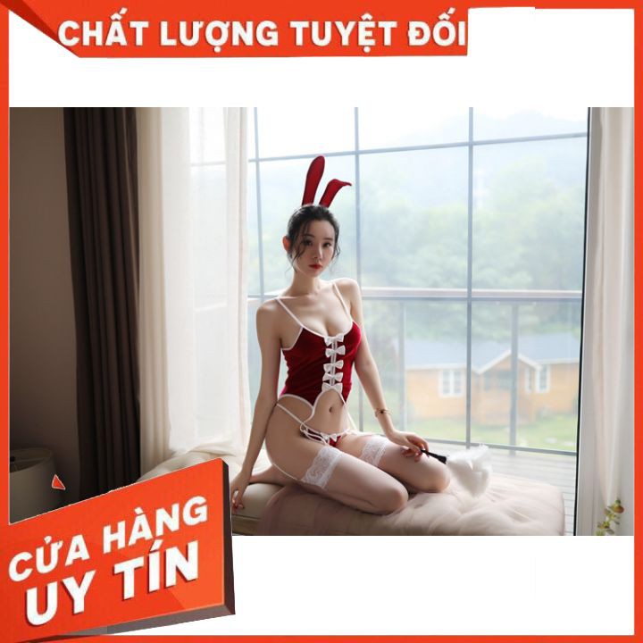 COSPLAY CÔ THỎ SIÊU SEXY, HÀNG CAO CẤP ĐẦY ĐỦ PHỤ KIỆN 🎁🎁freeship với hoá đơn 50k🎁🎁 | BigBuy360 - bigbuy360.vn