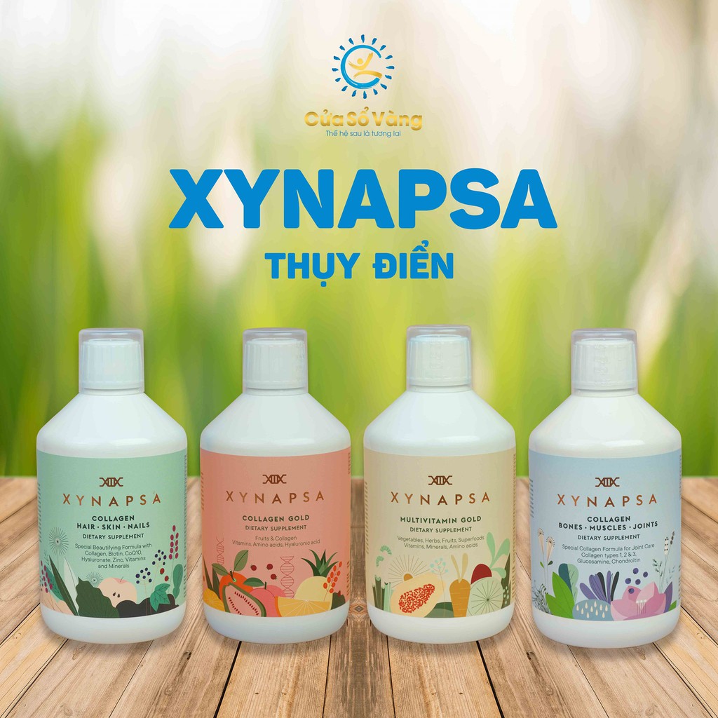 Bộ Tứ Xynapsa Cửa Sổ Vàng Bổ Sung & Cải Thiện Toàn Diện Cơ Thể