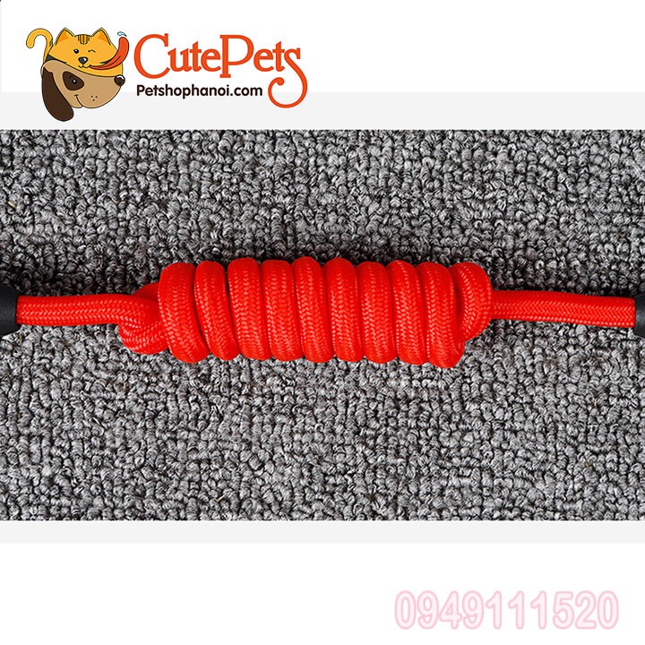 Dây dắt kèm yếm có đệm bông dành cho thú cưng - CutePets Phụ kiện chó mèo Pet shop Hà Nội