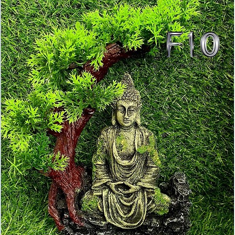 Tượng phật thiền bên gốc cây trang trí bể cá, bể bán cạn, bể thủy sinh