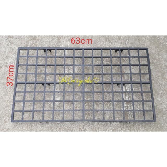 Khay vỉ trồng lan cấy mô (set 5 cái)