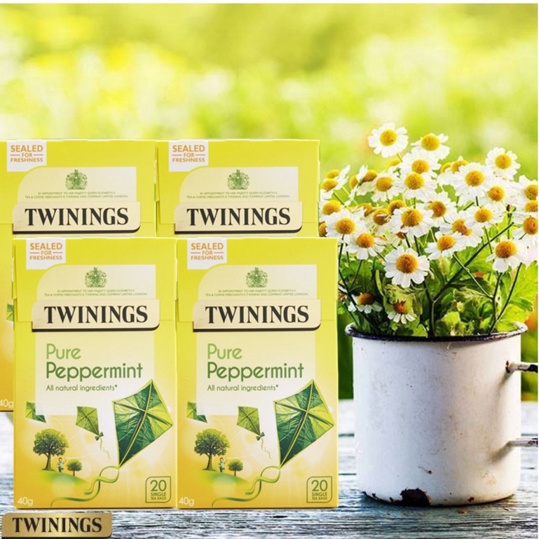 [Date 2022] Bộ sưu tập trà Twinings thảo mộc chăm sóc sức khỏe cơ bản