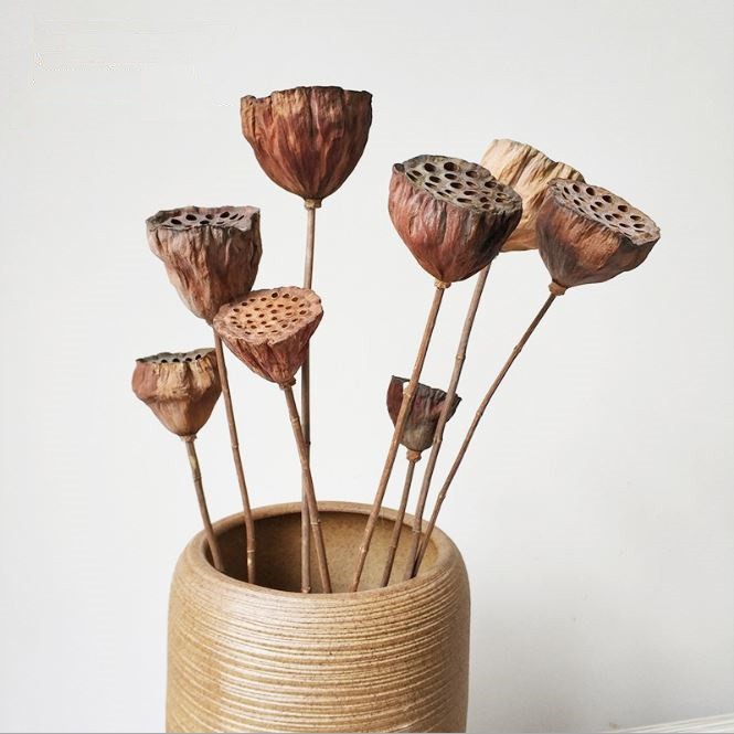 Đài hoa sen khô, decor trang trí nhà cửa