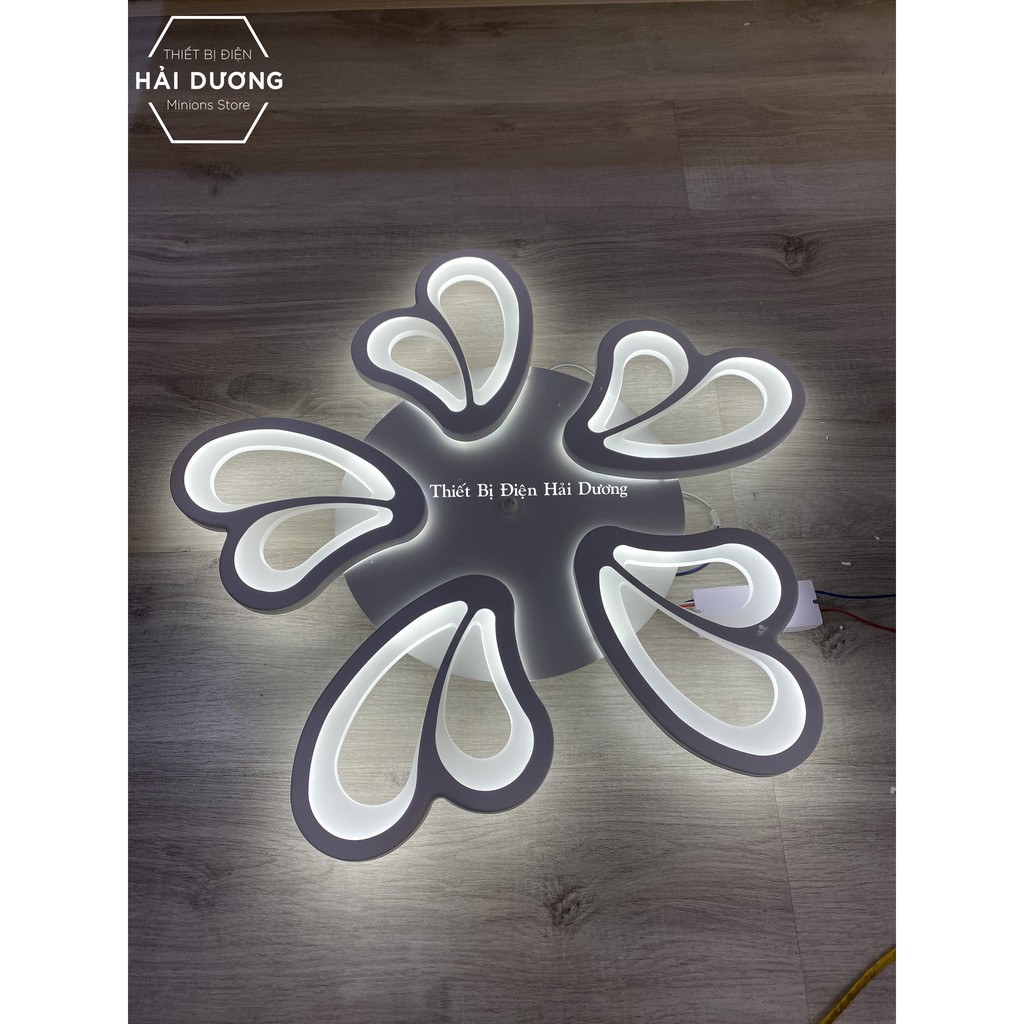Đèn Ốp Trần Decor 5 Cánh Bướm NT021 - 3 Chế Độ Ánh Sáng - Tăng Giảm Ánh Sáng - Điều Khiển Từ Xa - Bảo Hành 1 Năm