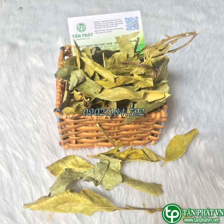 - Chè dung sấy khô , Chè lá dung - Tăng cường tiêu hóa, Giảm đau dạ dày, Trướng bụng