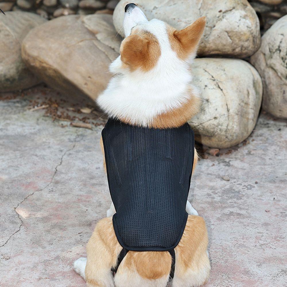 Áo Sát Nách Mềm Mại Phục Hồi Cột Sống Cho Thú Cưng