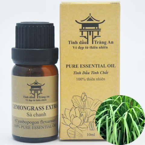 Tinh Dầu Thiên Nhiên Nguyên Chất Chai Nhỏ Giọt 10ml, Chai Treo Xe Hơi - TINH DẦU TRÀNG AN