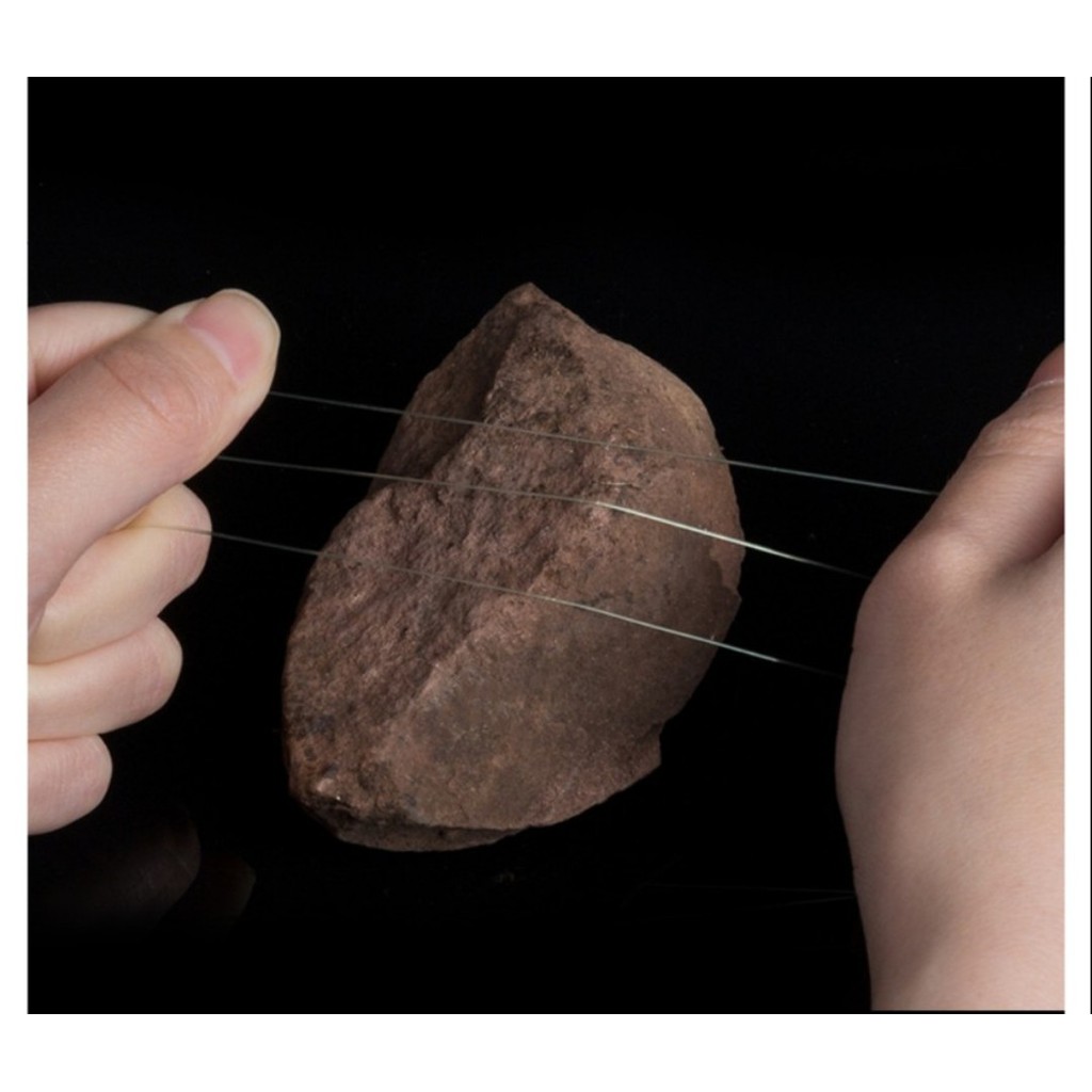 Cước Câu Cá NyLon Wild Pro Siêu Bền Đại Lý Đồ Câu Cá 100m_ Dây Câu Cá