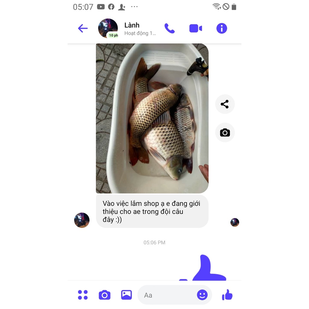 Hương Câu Cá Trâu Điên, Chuyên dùng pha chế mồi câu cá Chép,Phi,Trắm.. Siêu hiệu quả.