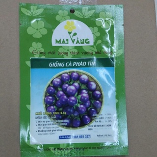 Hạt giống Cà Pháo Tím - Cà Pháo Trắng