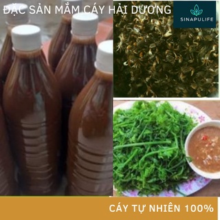 Đặc sản mắm cáy thanh hà hải dương, mắm đặc thơm, đỏ, ngon, ngọt, cáy tự nhiên,nước mắm truyền thống quê hương hải dương