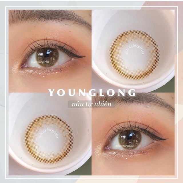 Young brown lens ( kính áp tròng )