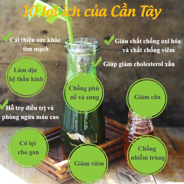 Bột cần tây sấy lạnh nguyên chất (100gr) Gúp Giảm Cân, Thanh Nhiệt, Đẹp Da