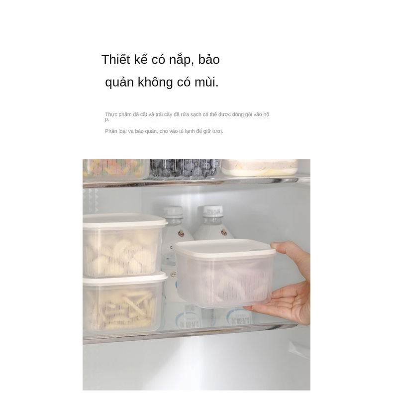 Hộp Đựng Hành Tỏi Gừng Tỏi Ttm327 Tiện Dụng Cho Tủ Lạnh