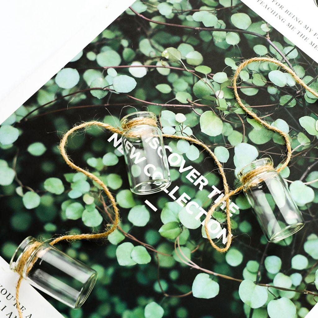 Lọ Thủy Tinh Trồng Cây Thủy Canh 1 Dây Chuông Gió Mini Có Dây Thừng Dùng Làm Đạo Cụ Chụp Ảnh