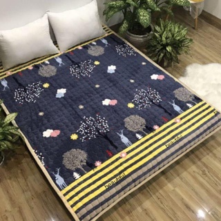 Thảm nỉ nhung trải giường trải sàn , thảm lông cừu 3 lớp cực ấm đủ kích thước