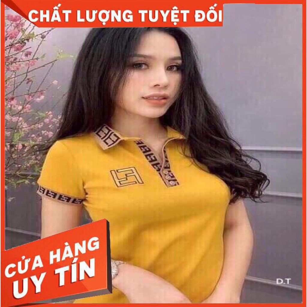 ĐỈNH CAO SALE 10.10 🍀 | SALE | Áo phông nữ cổ bẻ thêu nhiều hình loại tốt Chất Đẹp ... . . . ! . . new