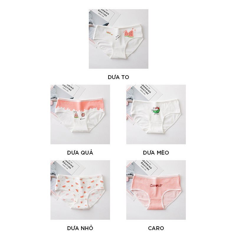 Quần lót nữ cotton cao cấp nâng mông thông hơi in hoạ tiết đáng yêu QL09 | BigBuy360 - bigbuy360.vn