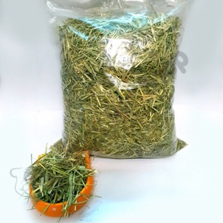 Cỏ Timothy thường cho Guinea Pig (bọ ú, chuột lang), thỏ, chinchilla