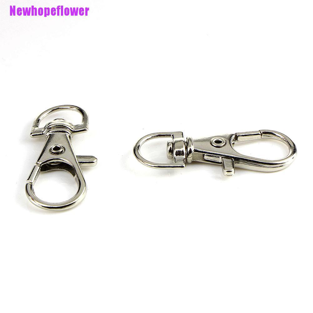 Bộ 10 Hình Tôm Hùm Độc Đáo