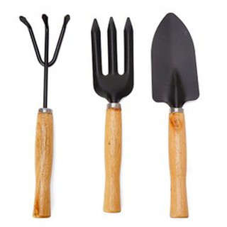 Bộ 3 món dụng cụ làm vườn mini.