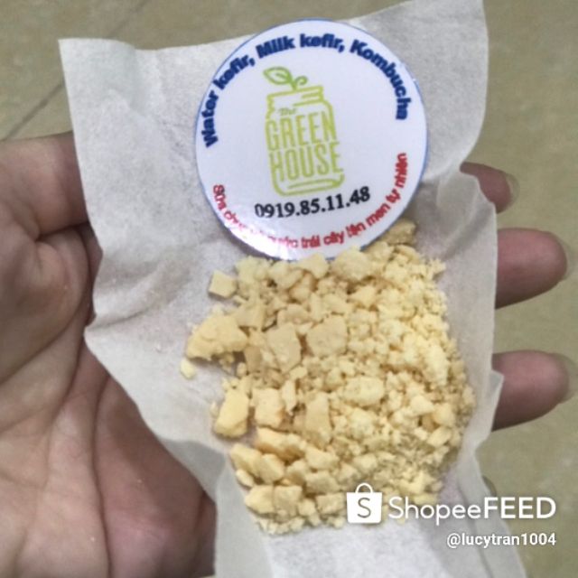 Men viili khô làm sữa chua