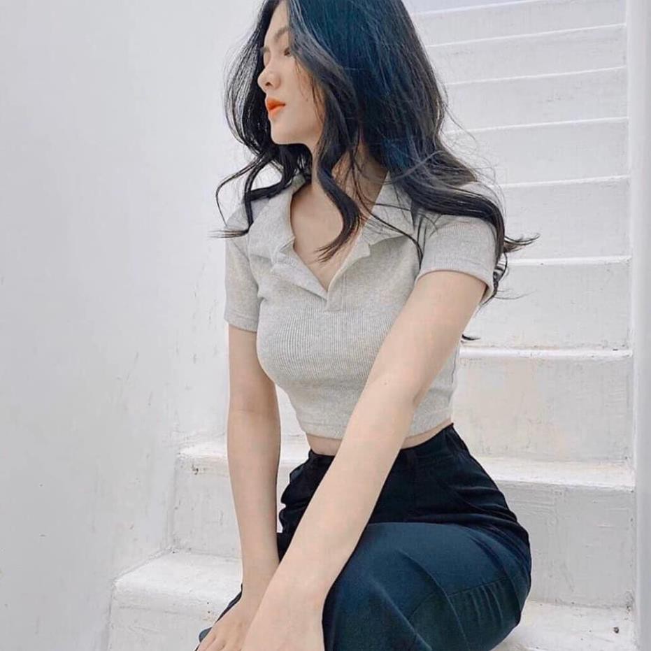 Áo Croptop Polo Cộc Tay Nữ , 🌹KemVintage<FREESHIP>🌹, Áo Cổ Bẻ Chất Thun Gân, Áo Croptop Cổ Tim 3 Màu ĐEN TRẮNG GHI | BigBuy360 - bigbuy360.vn