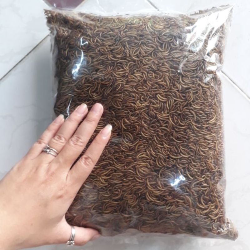 100g Sâu Gạo Sấy Khô Thức ăn Cho Gà Con Thức ăn Chim Con Sâu Khô Cho Chim Chích Chèo Sâu Khô Cho Bọ ú Sâu Khô Cho Nhím