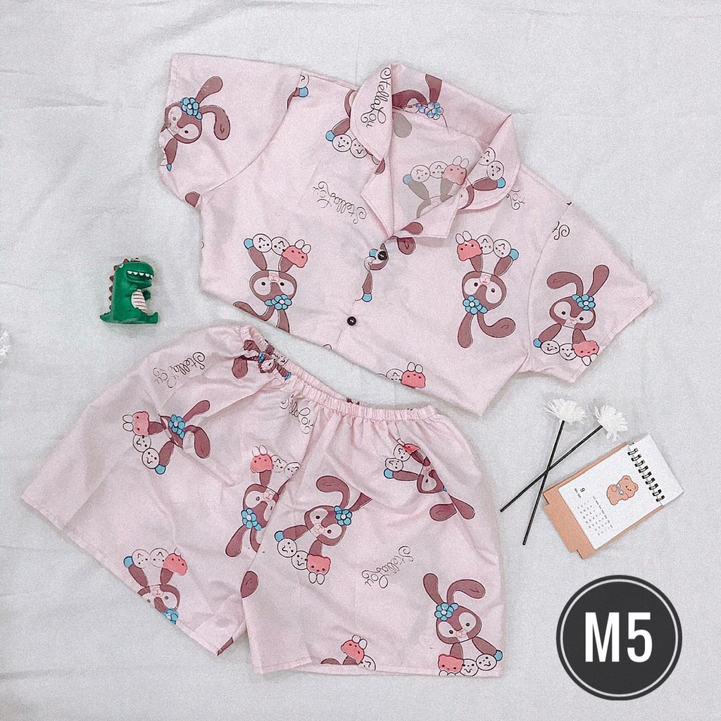 Bộ Ngủ Pijama Hàn Quốc Siêu Đáng Yêu | BigBuy360 - bigbuy360.vn