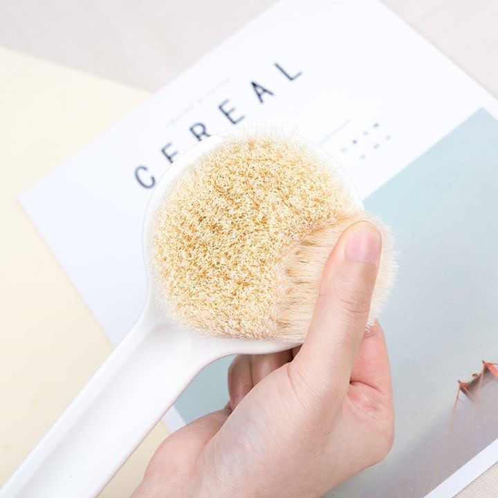 [Loại Tốt]Bàn Chải Cọ Lưng Muji Nhật Bản Loại Có Hộp Xin Sò, Giúp Tẩy Da Chết, Lưu Thông Máu, Massage Cơ Thể - PucaMart