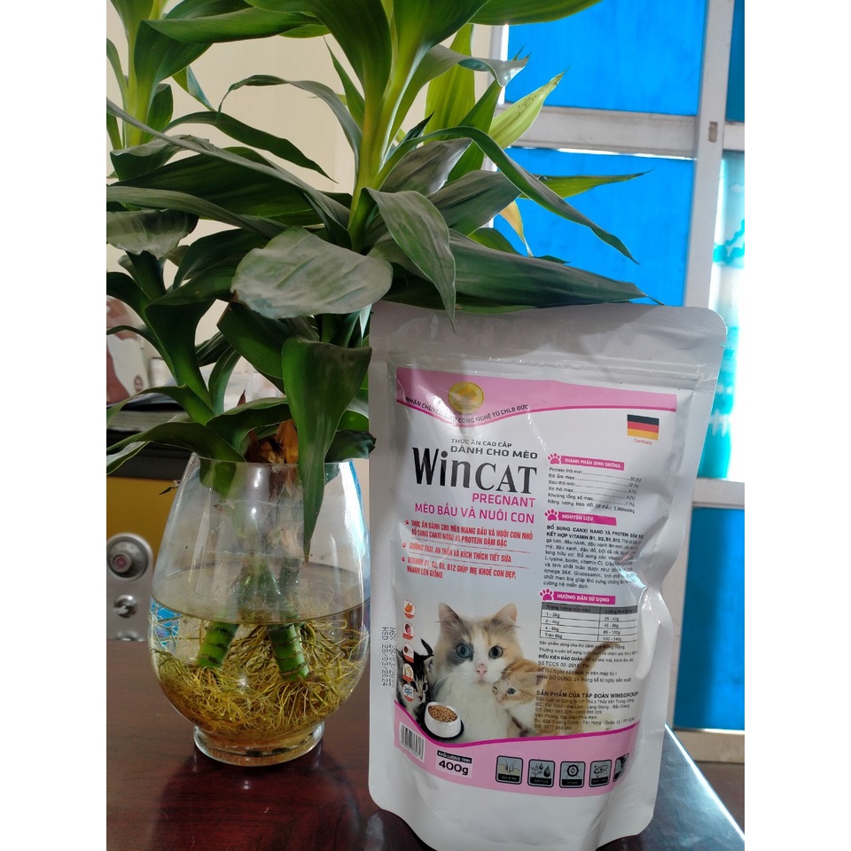 Thức Ăn Hạt Dành Cho Mèo WINCAT - Mang Bầu Và Nuôi Con Nhỏ