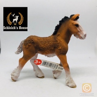Mô hình Ngựa Shire con Schleich 13736