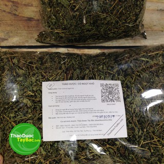 Cỏ Ngọt Stevia ( Hình Thật )