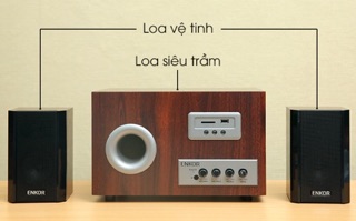 Loa vi tính Enkor S2850
