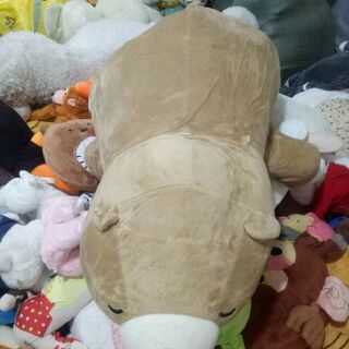 Gấu bông của c nguyễn diệu linh