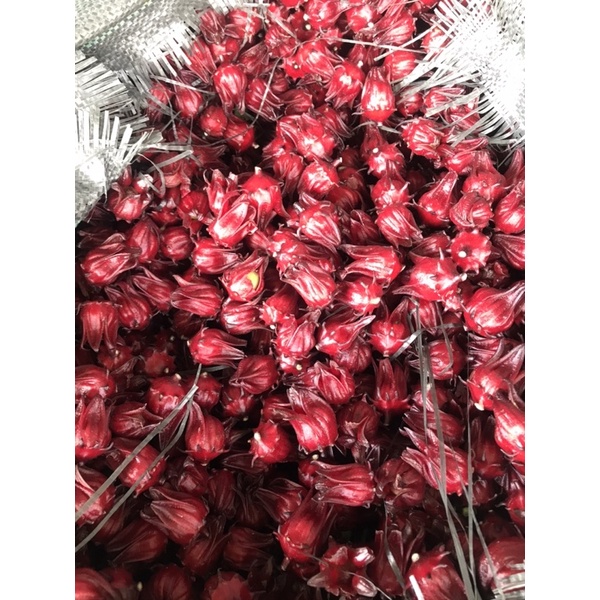 HOA ATISO , HIBICUS TÁCH HẠT