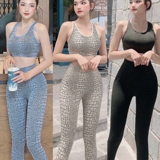 Bộ Đồ Tập Gym Yoga Nữ Da Trăn Chất Dệt Kim Cao Cấp