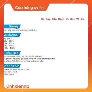 Bộ Dây Cắm Mạch 65 Sợi YC-65