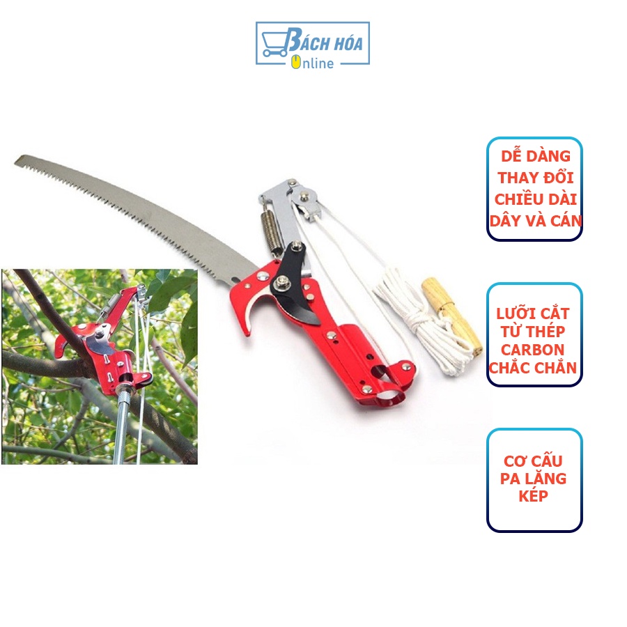 Kéo Cắt Tỉa Cành, Hái Trái Cây Trên Cao 3M Kết Hợp Cưa Cành | Shopee Việt  Nam